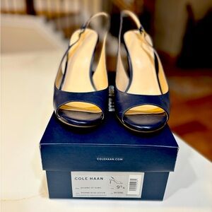 Cole Haan Navy Blue High Heels